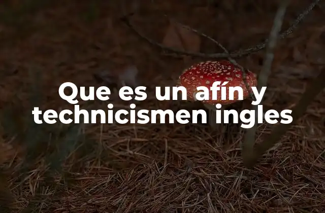 Que es un Afín y Technicismen Ingles
