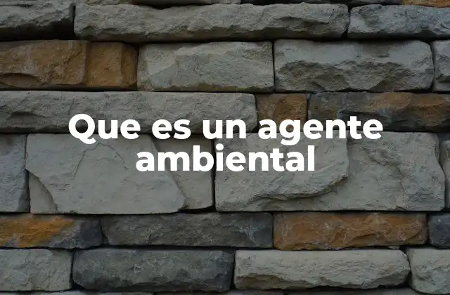 Que es un Agente Ambiental