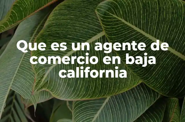 El rol del agente de comercio en el entorno económico de Baja California