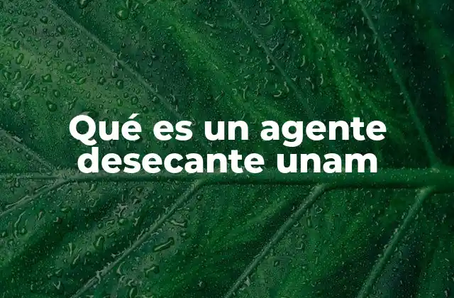 Qué es un Agente Desecante Unam
