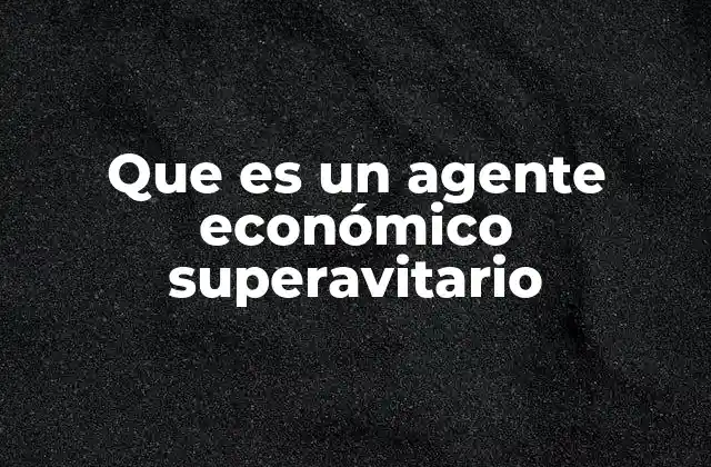 Que es un Agente Económico Superavitario