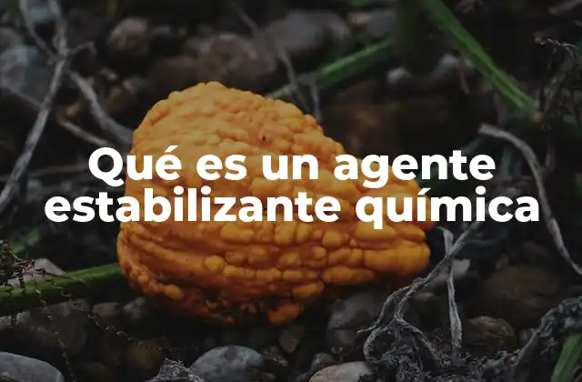 Qué es un Agente Estabilizante Química 2 Funcionamiento de los agentes estabilizantes en mezclas químicas