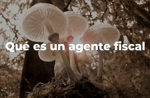 Qué es un Agente Fiscal