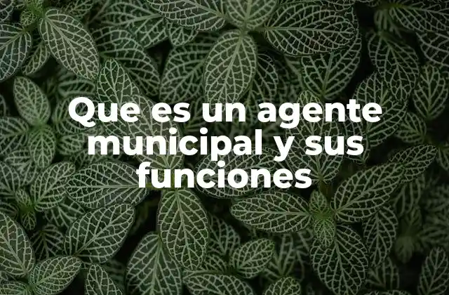 Que es un Agente Municipal y Sus Funciones