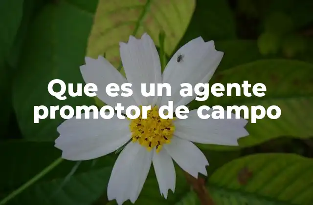 Que es un Agente Promotor de Campo