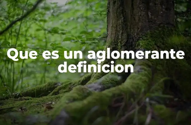 Que es un Aglomerante Definicion