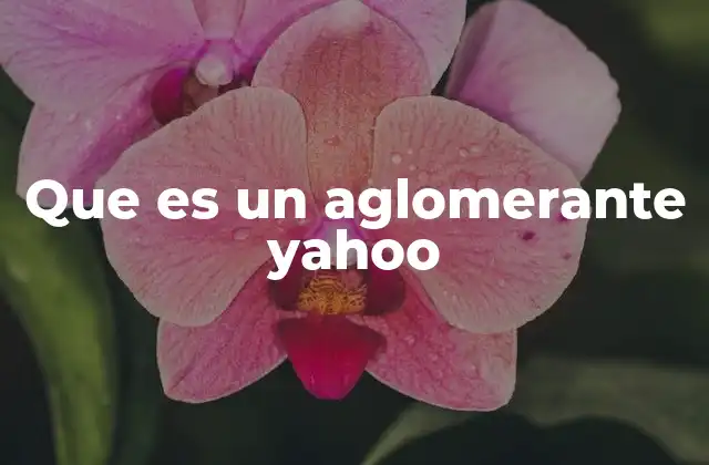 Que es un Aglomerante Yahoo