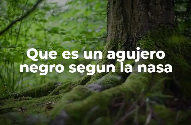 Que es un Agujero Negro Segun la Nasa