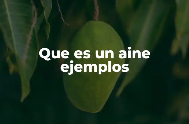 Que es un Aine Ejemplos