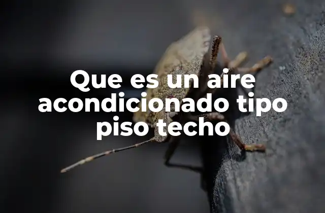 Que es un Aire Acondicionado Tipo Piso Techo