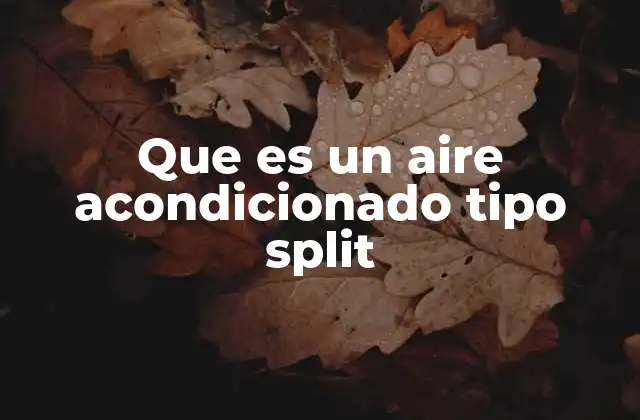 Que es un Aire Acondicionado Tipo Split