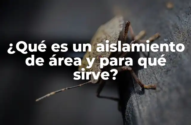 ¿qué es un Aislamiento de Área y para Qué Sirve?