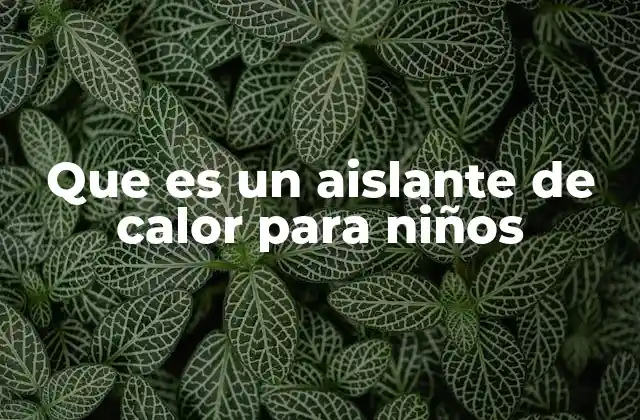 Que es un Aislante de Calor para Niños