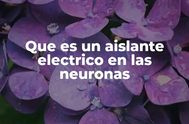 Que es un Aislante Electrico en las Neuronas