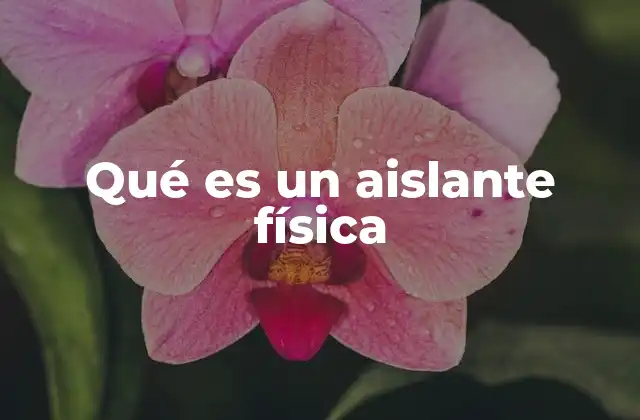 Qué es un Aislante Física