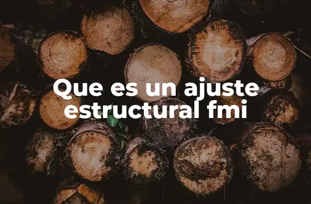 Que es un Ajuste Estructural Fmi 2 Cómo funciona un ajuste estructural FMI
