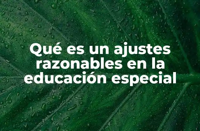 Qué es un Ajustes Razonables en la Educación Especial