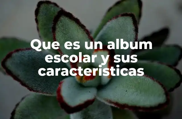 Que es un Album Escolar y Sus Caracteristicas