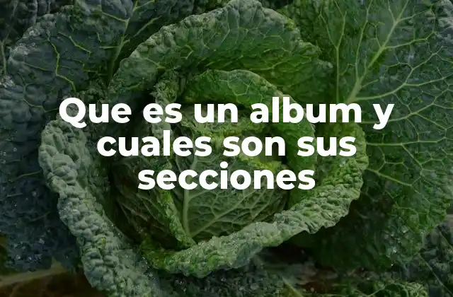 Que es un Album y Cuales Son Sus Secciones