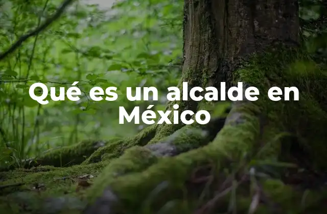 Qué es un Alcalde en México