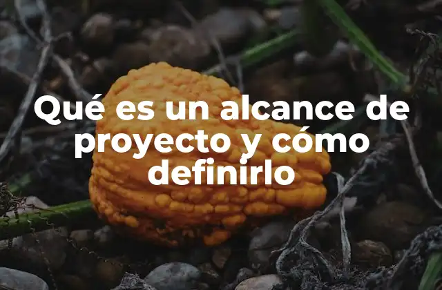 Cómo el alcance de un proyecto influye en su éxito