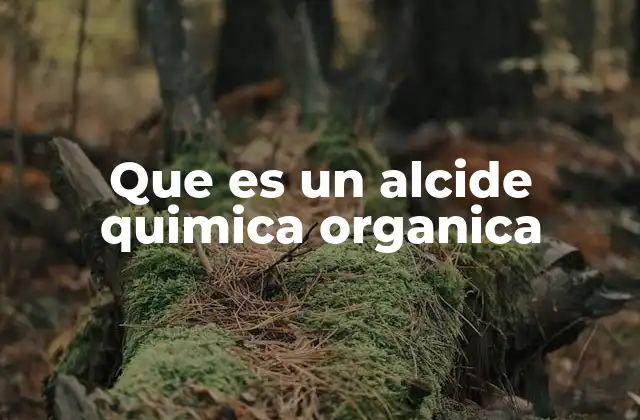 Que es un Alcide Quimica Organica