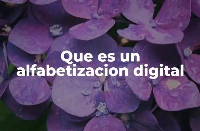 Que es un Alfabetizacion Digital