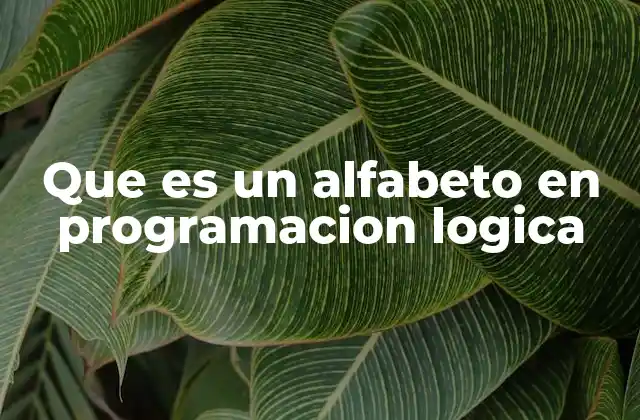 Fundamentos del alfabeto en la programación lógica