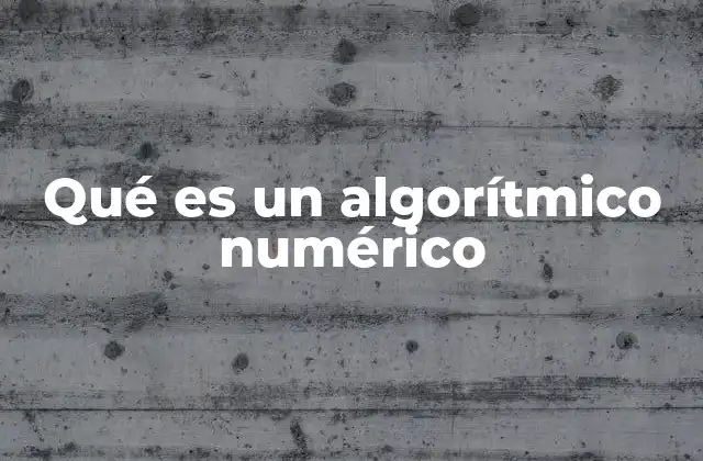 Qué es un Algorítmico Numérico