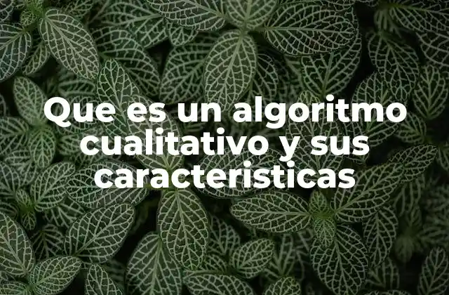 Que es un Algoritmo Cualitativo y Sus Caracteristicas 2 La importancia de los algoritmos cualitativos en la investigación moderna