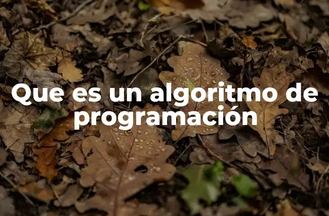 Que es un Algoritmo de Programación