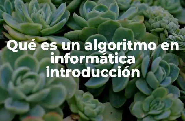 Qué es un Algoritmo en Informática Introducción