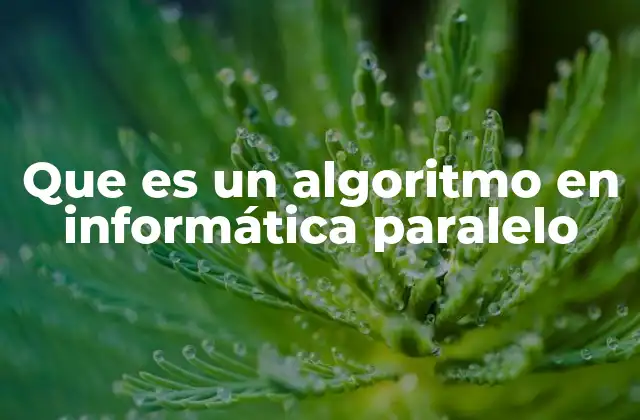 Que es un Algoritmo en Informática Paralelo