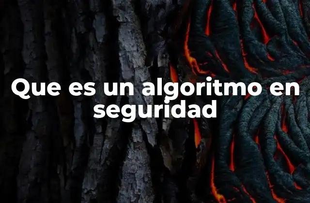 Que es un Algoritmo en Seguridad