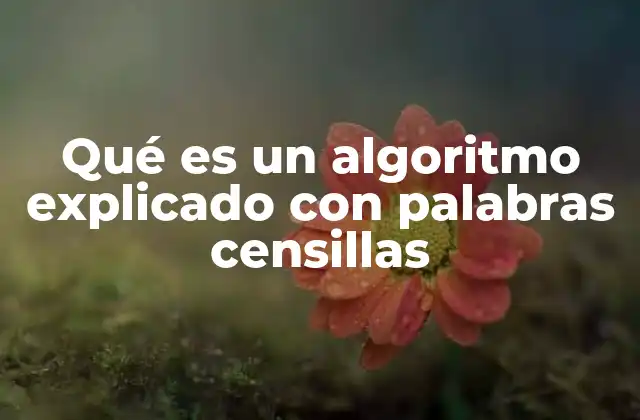 Qué es un Algoritmo Explicado con Palabras Censillas