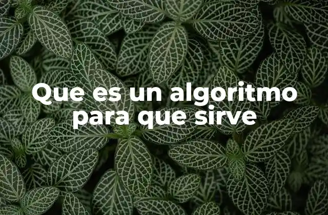 Que es un Algoritmo para que Sirve