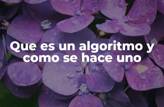 La importancia de los algoritmos en la programación moderna