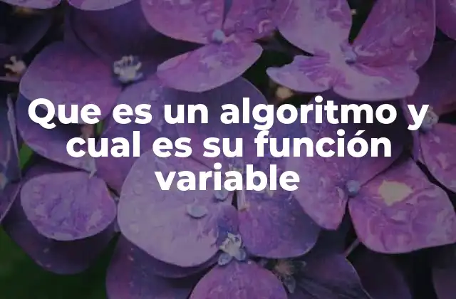 Que es un Algoritmo y Cual es Su Función Variable