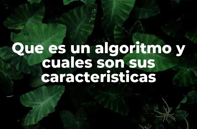 Que es un Algoritmo y Cuales Son Sus Caracteristicas