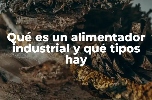 Qué es un Alimentador Industrial y Qué Tipos Hay