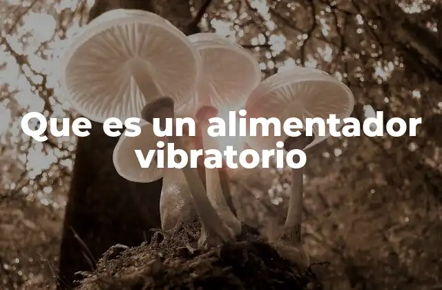 Que es un Alimentador Vibratorio