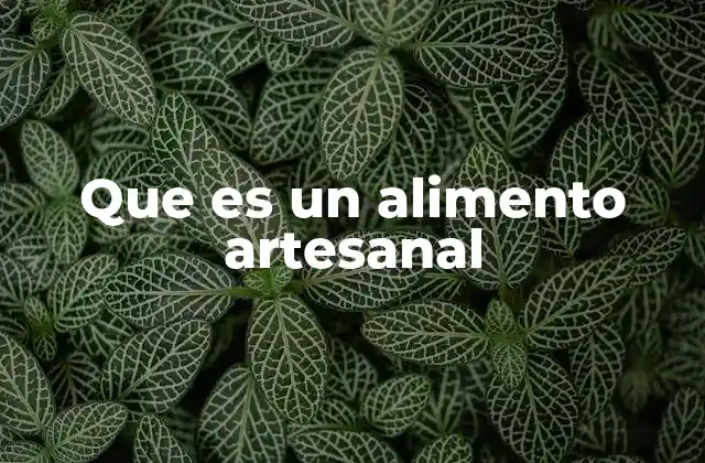 Que es un Alimento Artesanal