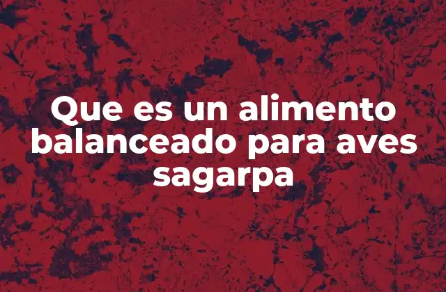 La importancia de los alimentos balanceados en la avicultura nacional