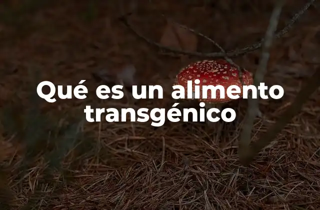 Qué es un Alimento Transgénico