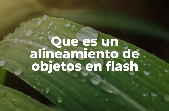Que es un Alineamiento de Objetos en Flash