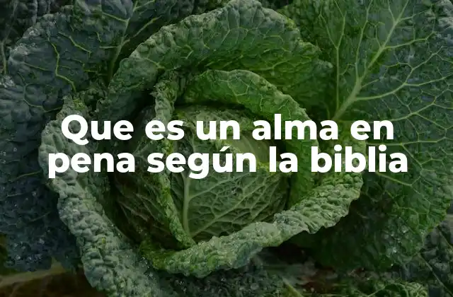 Que es un Alma en Pena según la Biblia