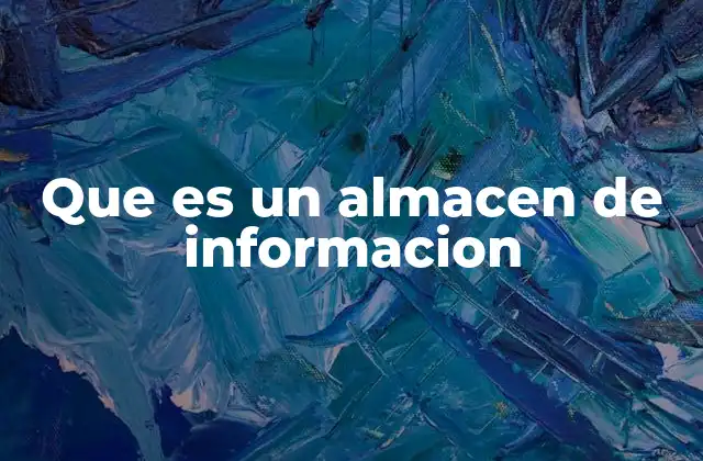 Que es un Almacen de Informacion