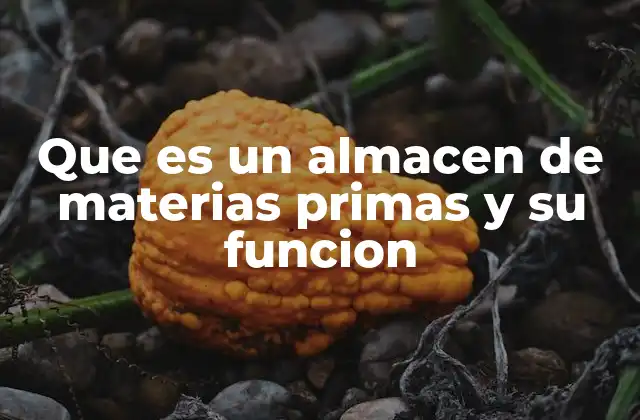 Que es un Almacen de Materias Primas y Su Funcion