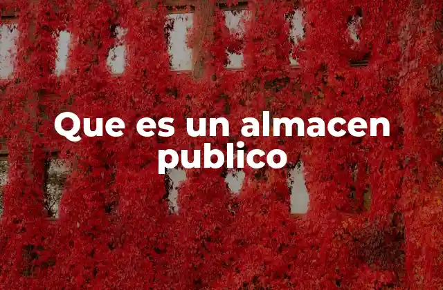 Que es un Almacen Publico
