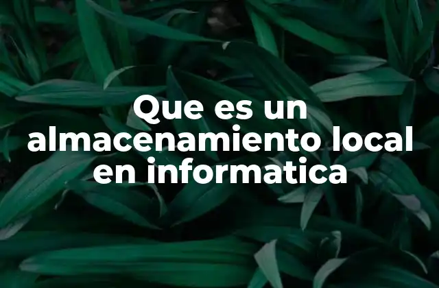 Que es un Almacenamiento Local en Informatica